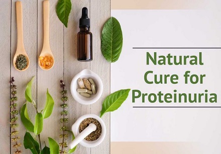 Cure for Protein in Urine